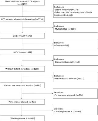 Efficacy of Liver Resection for Single Large Hepatocellular Carcinoma in Child-Pugh A Cirrhosis: Analysis of a Nationwide Cancer Registry Database